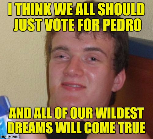 10 Guy Meme | I THINK WE ALL SHOULD JUST VOTE FOR PEDRO; AND ALL OF OUR WILDEST DREAMS WILL COME TRUE | image tagged in memes,10 guy | made w/ Imgflip meme maker