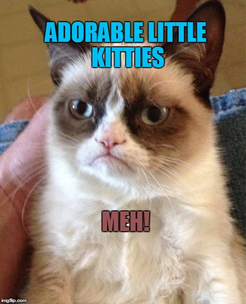 Grumpy Cat Meme | ADORABLE LITTLE KITTIES MEH! | image tagged in memes,grumpy cat | made w/ Imgflip meme maker
