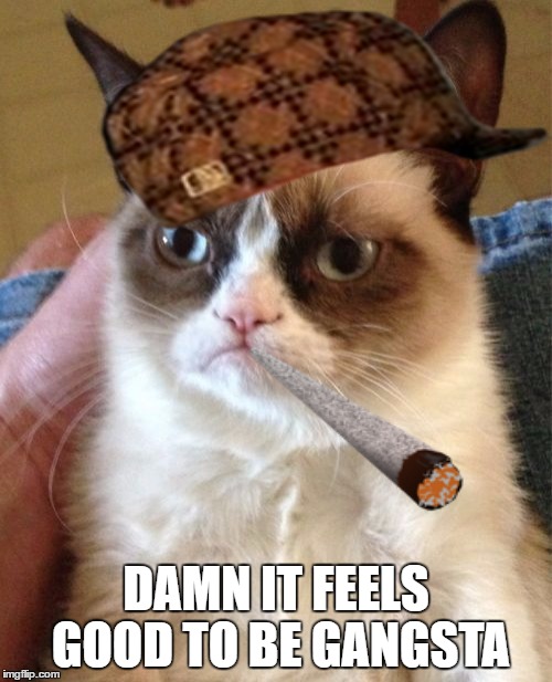Grumpy Cat | DAMN IT FEELS GOOD TO BE GANGSTA | image tagged in memes,grumpy cat,scumbag | made w/ Imgflip meme maker