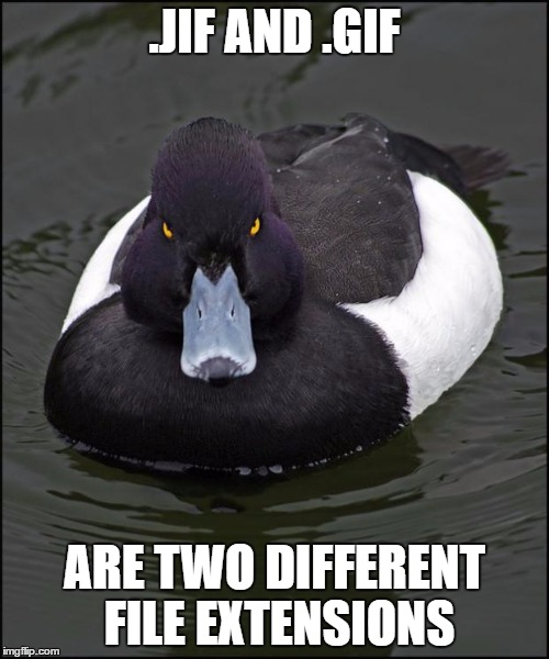hi res angry advice mallard | .JIF AND .GIF; ARE TWO DIFFERENT FILE EXTENSIONS | image tagged in hi res angry advice mallard,AdviceAnimals | made w/ Imgflip meme maker
