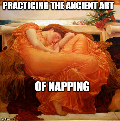 PRACTICING THE ANCIENT ART; OF NAPPING | image tagged in for fun,napping as art | made w/ Imgflip meme maker