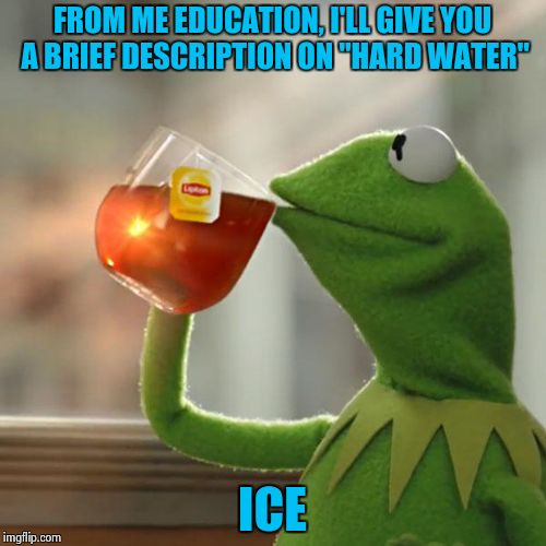 But That's None Of My Business | FROM ME EDUCATION, I'LL GIVE YOU A BRIEF DESCRIPTION ON "HARD WATER"; ICE | image tagged in memes,but thats none of my business,kermit the frog | made w/ Imgflip meme maker
