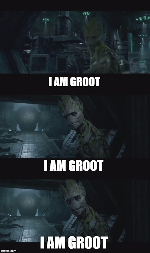I AM GROOT; I AM GROOT; I AM GROOT | image tagged in bad pun groot | made w/ Imgflip meme maker