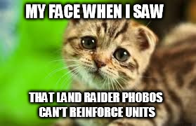 Sad face | MY FACE WHEN I SAW; THAT LAND RAIDER PHOBOS CAN'T REINFORCE UNITS | image tagged in sad face | made w/ Imgflip meme maker