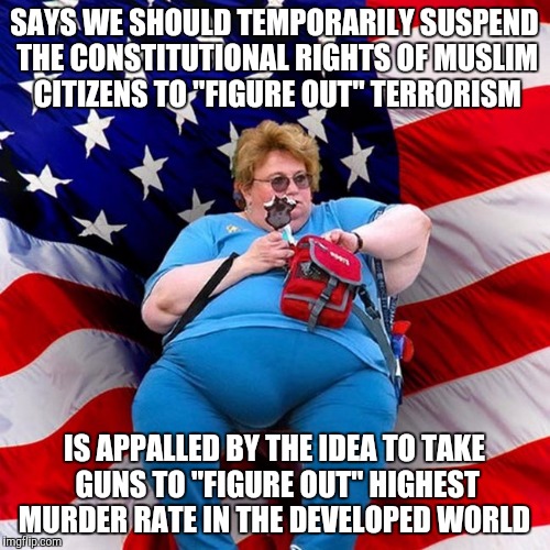 Obese conservative american woman | SAYS WE SHOULD TEMPORARILY SUSPEND THE CONSTITUTIONAL RIGHTS OF MUSLIM CITIZENS TO "FIGURE OUT" TERRORISM; IS APPALLED BY THE IDEA TO TAKE GUNS TO "FIGURE OUT" HIGHEST MURDER RATE IN THE DEVELOPED WORLD | image tagged in obese conservative american woman | made w/ Imgflip meme maker