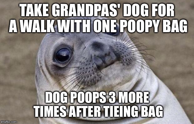 Awkward Moment Sealion Meme | TAKE GRANDPAS' DOG FOR A WALK WITH ONE POOPY BAG; DOG POOPS 3 MORE TIMES AFTER TIEING BAG | image tagged in memes,awkward moment sealion,AdviceAnimals | made w/ Imgflip meme maker