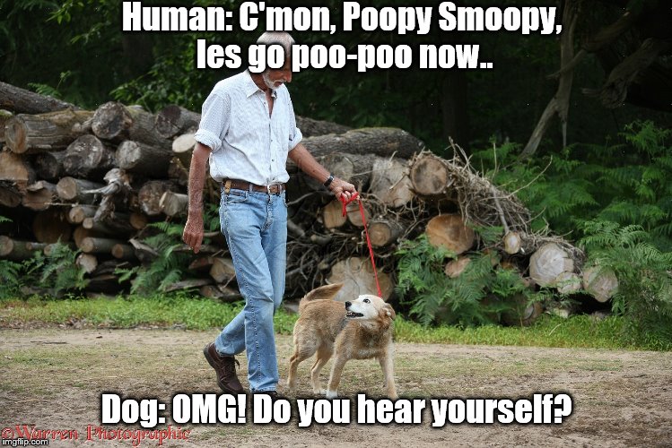 Human: C'mon, Poopy Smoopy, les go poo-poo now.. Dog: OMG! Do you hear yourself? | image tagged in dog,poop,walking dog | made w/ Imgflip meme maker