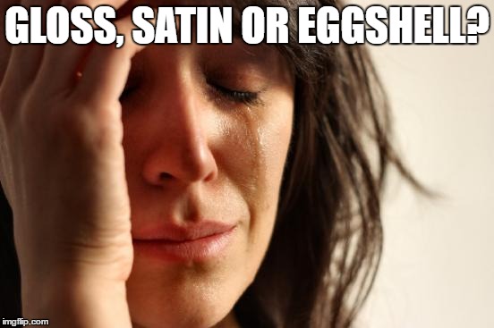 what kind of paint finish? | GLOSS, SATIN OR EGGSHELL? | image tagged in memes,first world problems,decorating,painting | made w/ Imgflip meme maker