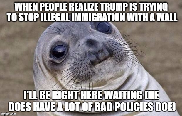 Awkward Moment Sealion Meme | WHEN PEOPLE REALIZE TRUMP IS TRYING TO STOP ILLEGAL IMMIGRATION WITH A WALL I'LL BE RIGHT HERE WAITING (HE DOES HAVE A LOT OF BAD POLICIES D | image tagged in memes,awkward moment sealion | made w/ Imgflip meme maker