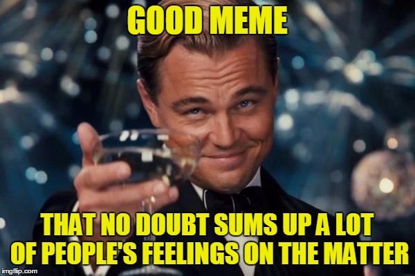 Leonardo Dicaprio Cheers Meme | GOOD MEME THAT NO DOUBT SUMS UP A LOT OF PEOPLE'S FEELINGS ON THE MATTER | image tagged in memes,leonardo dicaprio cheers | made w/ Imgflip meme maker