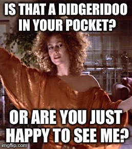 Gatekeeper | IS THAT A DIDGERIDOO IN YOUR POCKET? OR ARE YOU JUST HAPPY TO SEE ME? | image tagged in gatekeeper | made w/ Imgflip meme maker