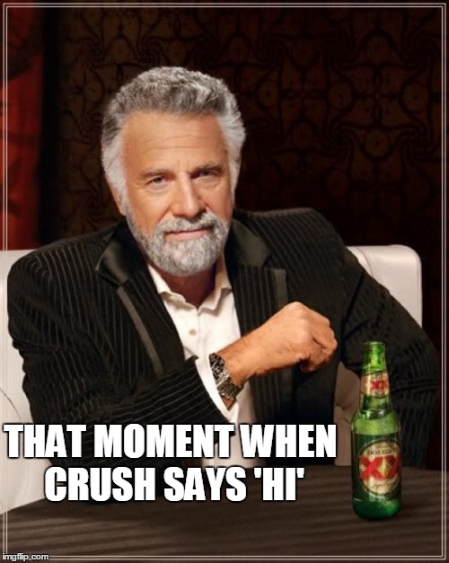 The Most Interesting Man In The World | THAT MOMENT WHEN CRUSH SAYS 'HI' | image tagged in memes,the most interesting man in the world | made w/ Imgflip meme maker