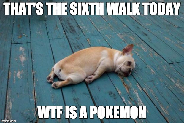 Tired dog | THAT'S THE SIXTH WALK TODAY; WTF IS A POKEMON | image tagged in tired dog,AdviceAnimals | made w/ Imgflip meme maker