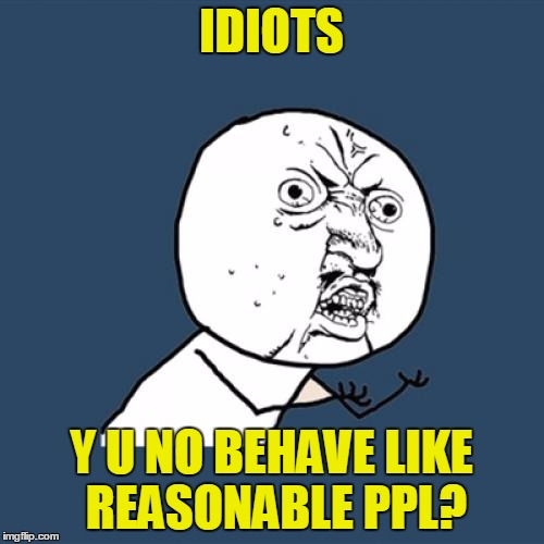 Y U No Meme | IDIOTS Y U NO BEHAVE LIKE REASONABLE PPL? | image tagged in memes,y u no | made w/ Imgflip meme maker