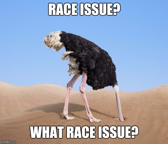 RACE ISSUE? WHAT RACE ISSUE? | image tagged in ostrich | made w/ Imgflip meme maker