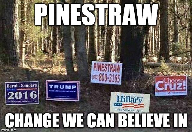 Finally! | PINESTRAW; CHANGE WE CAN BELIEVE IN | image tagged in election 2016,trump,hillary clinton | made w/ Imgflip meme maker
