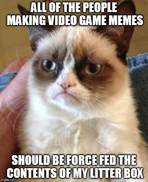 Grumpy Cat Meme | ALL OF THE PEOPLE MAKING VIDEO GAME MEMES; SHOULD BE FORCE FED THE CONTENTS OF MY LITTER BOX | image tagged in memes,grumpy cat | made w/ Imgflip meme maker