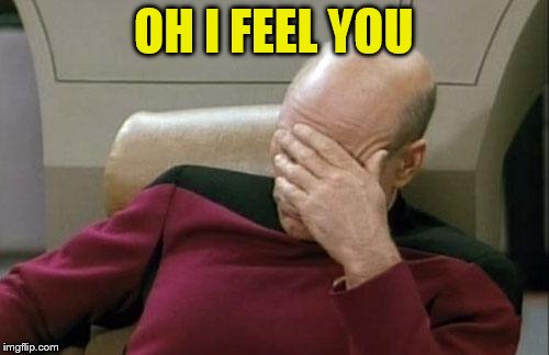 Captain Picard Facepalm Meme | OH I FEEL YOU | image tagged in memes,captain picard facepalm | made w/ Imgflip meme maker