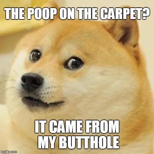 Doge poo... | THE POOP ON THE CARPET? IT CAME FROM MY BUTTHOLE | image tagged in memes,doge | made w/ Imgflip meme maker