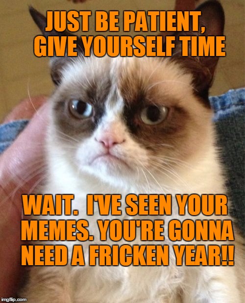 Grumpy Cat Meme | JUST BE PATIENT,  GIVE YOURSELF TIME WAIT.  I'VE SEEN YOUR MEMES. YOU'RE GONNA NEED A FRICKEN YEAR!! | image tagged in memes,grumpy cat | made w/ Imgflip meme maker