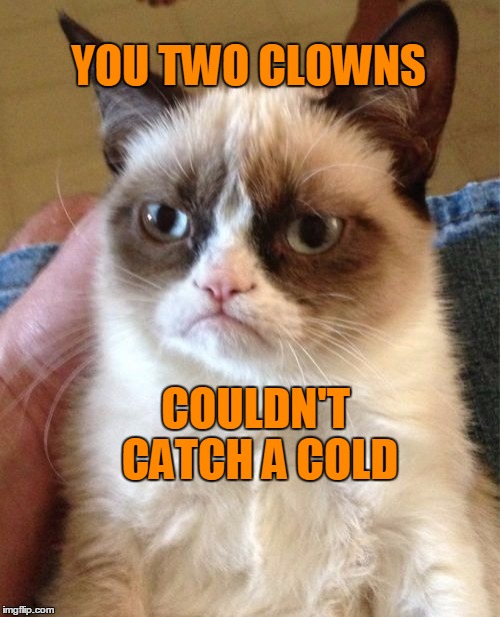 Grumpy Cat Meme | YOU TWO CLOWNS COULDN'T CATCH A COLD | image tagged in memes,grumpy cat | made w/ Imgflip meme maker