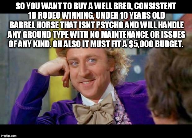 Unicorn | SO YOU WANT TO BUY A WELL BRED, CONSISTENT 1D RODEO WINNING, UNDER 10 YEARS OLD BARREL HORSE THAT ISNT PSYCHO AND WILL HANDLE ANY GROUND TYPE WITH NO MAINTENANCE OR ISSUES OF ANY KIND. OH ALSO IT MUST FIT A $5,000 BUDGET. | image tagged in condescending wonka eye contact,rodeo,horse,barrel racing,barrel horse,confessions of a barrel racer | made w/ Imgflip meme maker