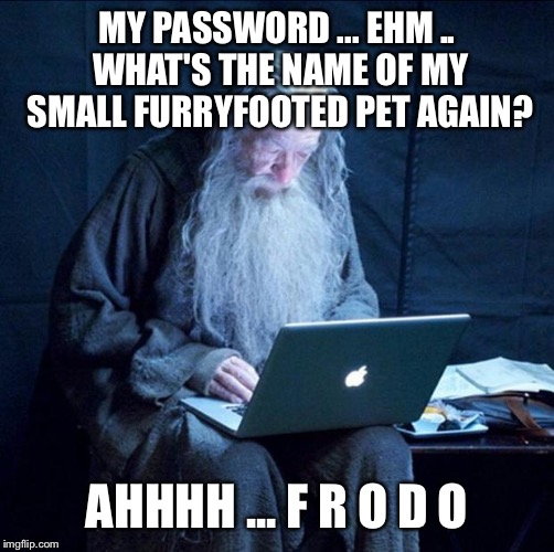 Computer Gandalf | MY PASSWORD ... EHM .. WHAT'S THE NAME OF MY SMALL FURRYFOOTED PET AGAIN? AHHHH ... F R O D O | image tagged in computer gandalf | made w/ Imgflip meme maker