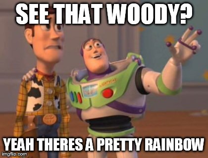 SEE THAT WOODY? YEAH THERES A PRETTY RAINBOW | image tagged in memes,x x everywhere | made w/ Imgflip meme maker