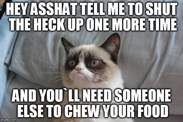 Grumpy Cat Bed |  HEY ASSHAT TELL ME TO SHUT THE HECK UP ONE MORE TIME; AND YOU`LL NEED SOMEONE ELSE TO CHEW YOUR FOOD | image tagged in memes,grumpy cat bed,grumpy cat | made w/ Imgflip meme maker