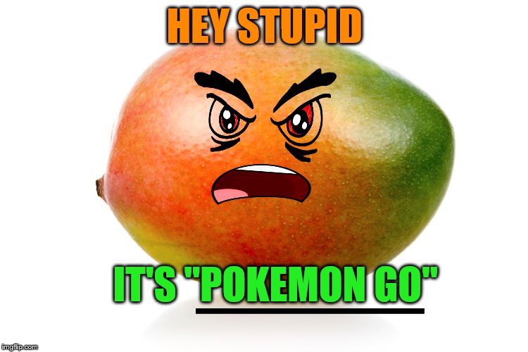 My 17yr old was showing me this over the weekend.  | HEY STUPID; ____; IT'S "POKEMON GO" | image tagged in memes,funny,poke a mango,pokemon go | made w/ Imgflip meme maker