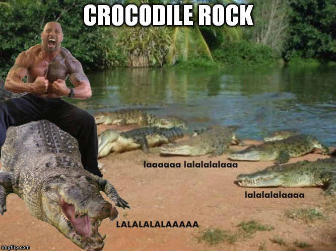 Rock and Roll | CROCODILE ROCK | image tagged in elton,dwayne johnson,swamp people,crocodile,choot it choot it | made w/ Imgflip meme maker