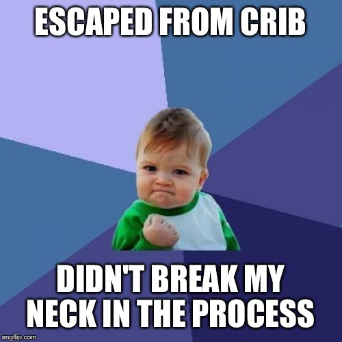 Success Kid Meme | ESCAPED FROM CRIB; DIDN'T BREAK MY NECK IN THE PROCESS | image tagged in memes,success kid | made w/ Imgflip meme maker