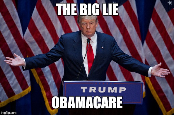 Dank Donald | THE BIG LIE; OBAMACARE | image tagged in donald trump | made w/ Imgflip meme maker