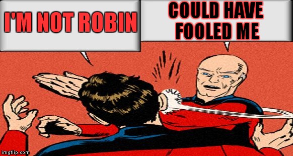Being #2 is never easy | COULD HAVE FOOLED ME; I'M NOT ROBIN | image tagged in picard slap | made w/ Imgflip meme maker
