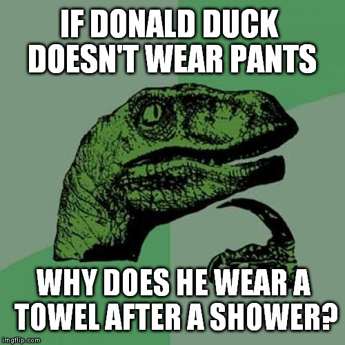 Philosoraptor | IF DONALD DUCK DOESN'T WEAR PANTS; WHY DOES HE WEAR A TOWEL AFTER A SHOWER? | image tagged in memes,philosoraptor | made w/ Imgflip meme maker