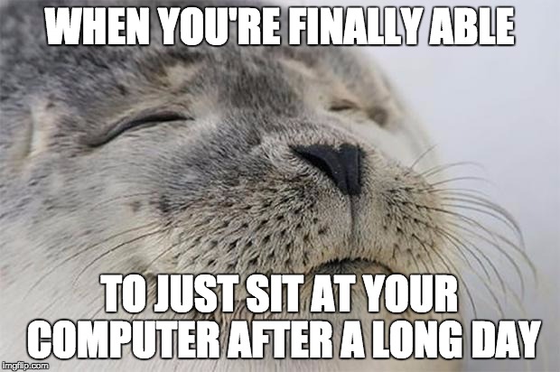 The greatest feeling ever for someone like me. | WHEN YOU'RE FINALLY ABLE; TO JUST SIT AT YOUR COMPUTER AFTER A LONG DAY | image tagged in memes,satisfied seal,stay home,computer,relax,lol | made w/ Imgflip meme maker