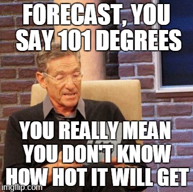 Maury Lie Detector Meme | FORECAST, YOU SAY 101 DEGREES; YOU REALLY MEAN YOU DON'T KNOW HOW HOT IT WILL GET | image tagged in memes,maury lie detector | made w/ Imgflip meme maker