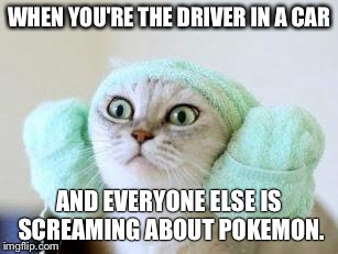 PokemonGo Struggles | WHEN YOU'RE THE DRIVER IN A CAR; AND EVERYONE ELSE IS SCREAMING ABOUT POKEMON. | image tagged in pokemon go | made w/ Imgflip meme maker