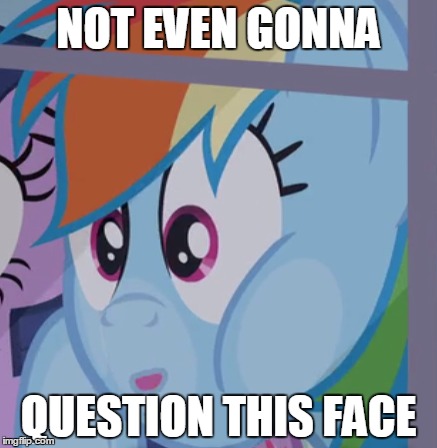 okay rainbow | NOT EVEN GONNA; QUESTION THIS FACE | image tagged in rainbow dash,my little pony | made w/ Imgflip meme maker