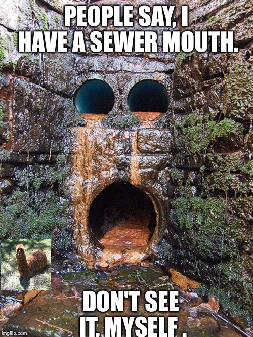 Sewer mouth | PEOPLE SAY, I HAVE A SEWER MOUTH. DON'T SEE IT, MYSELF . | image tagged in sewer mouth | made w/ Imgflip meme maker