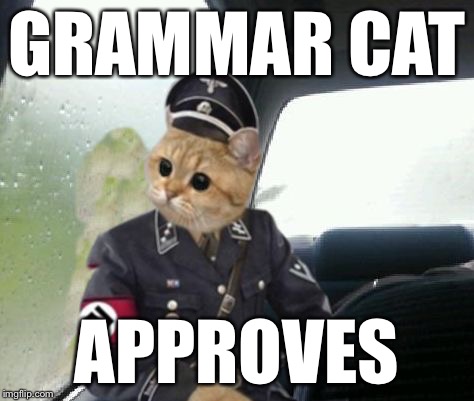 Introspective Grammar Cat | GRAMMAR CAT APPROVES | image tagged in introspective grammar cat | made w/ Imgflip meme maker