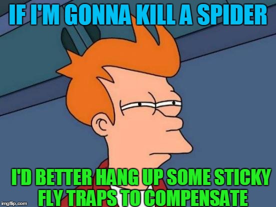Futurama Fry Meme | IF I'M GONNA KILL A SPIDER I'D BETTER HANG UP SOME STICKY FLY TRAPS TO COMPENSATE | image tagged in memes,futurama fry | made w/ Imgflip meme maker