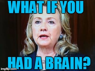 WHAT IF YOU HAD A BRAIN? | image tagged in hillary | made w/ Imgflip meme maker
