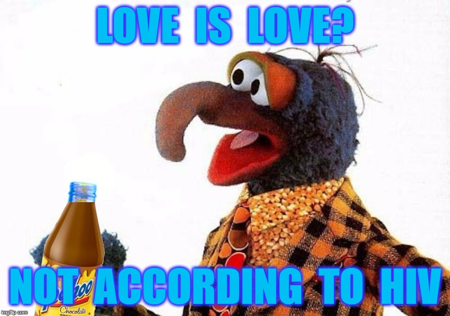 Gonzo Straight Up |  LOVE  IS  LOVE? NOT  ACCORDING  TO  HIV | image tagged in gonzo,muppets,sex,gay,lgbt,homosexual | made w/ Imgflip meme maker