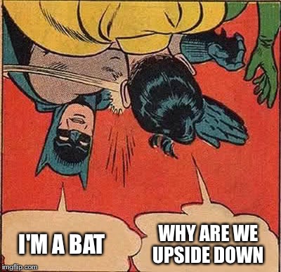 Batman Slapping Robin | WHY ARE WE UPSIDE DOWN; I'M A BAT | image tagged in memes,batman slapping robin,upside-down,rotate twice if you want to try | made w/ Imgflip meme maker