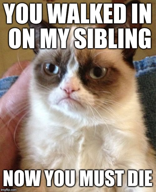 Grumpy Cat Meme | YOU WALKED IN ON MY SIBLING NOW YOU MUST DIE | image tagged in memes,grumpy cat | made w/ Imgflip meme maker