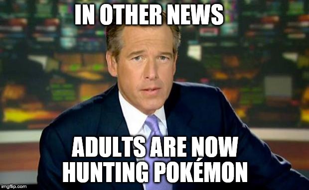Brian Williams Was There | IN OTHER NEWS; ADULTS ARE NOW HUNTING POKÉMON | image tagged in memes,pokemon go,pokemon | made w/ Imgflip meme maker
