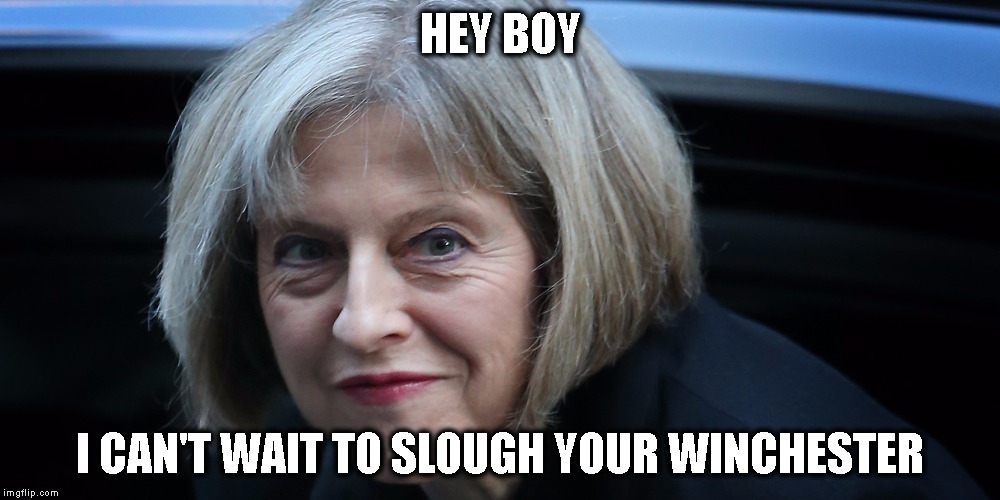 Theresa May Hey Boy | HEY BOY; I CAN'T WAIT TO SLOUGH YOUR WINCHESTER | image tagged in theresa may hey boy | made w/ Imgflip meme maker
