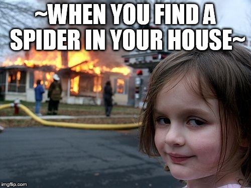 Disaster Girl | ~WHEN YOU FIND A SPIDER IN YOUR HOUSE~ | image tagged in memes,disaster girl | made w/ Imgflip meme maker