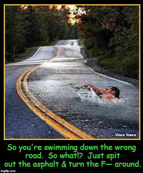 Swimming Down the Wrong Road | So you're swimming down the wrong road.  So what!?  Just spit out the asphalt & turn the F— around. —Vince Vance | image tagged in vince vance,motivational memes,nothing can stop me,never give up,do what you have to do to make it,advice when going the wrong w | made w/ Imgflip meme maker